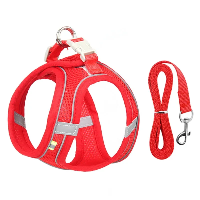 Adjustable Dog Harness and Leash Set for Small Dogs – Comfortable Walking Vest for Puppies and Cats