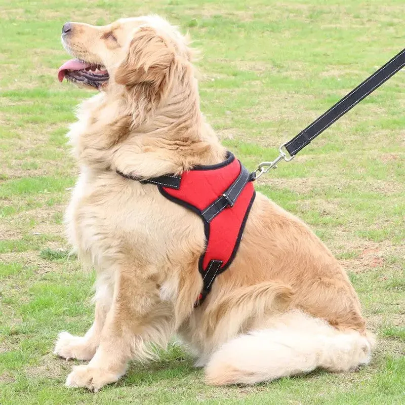 Adjustable Dog Harness for Secure, Comfortable Walks