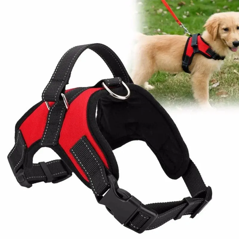 Adjustable Dog Harness for Secure, Comfortable Walks