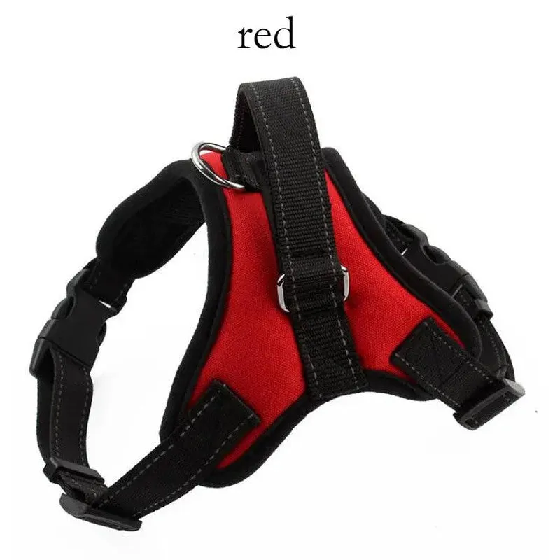 Adjustable Dog Harness for Secure, Comfortable Walks