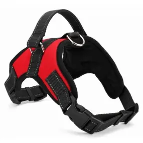 Adjustable Dog Harness for Secure, Comfortable Walks