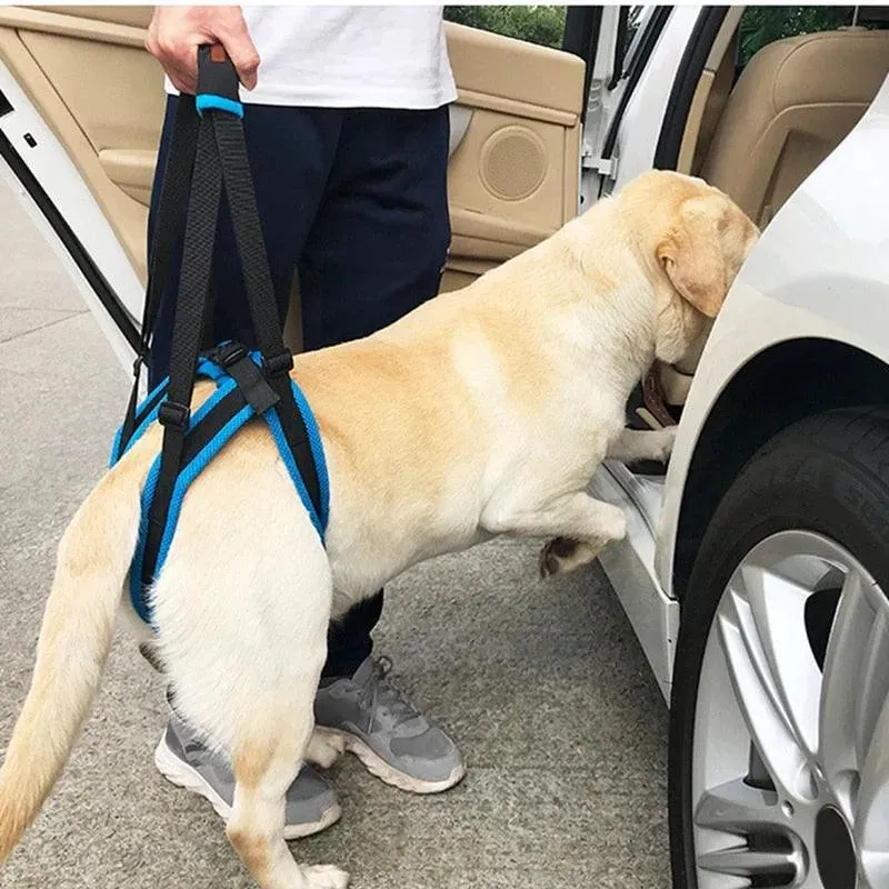 Adjustable Dog Lift Harness | Pet Support Sling