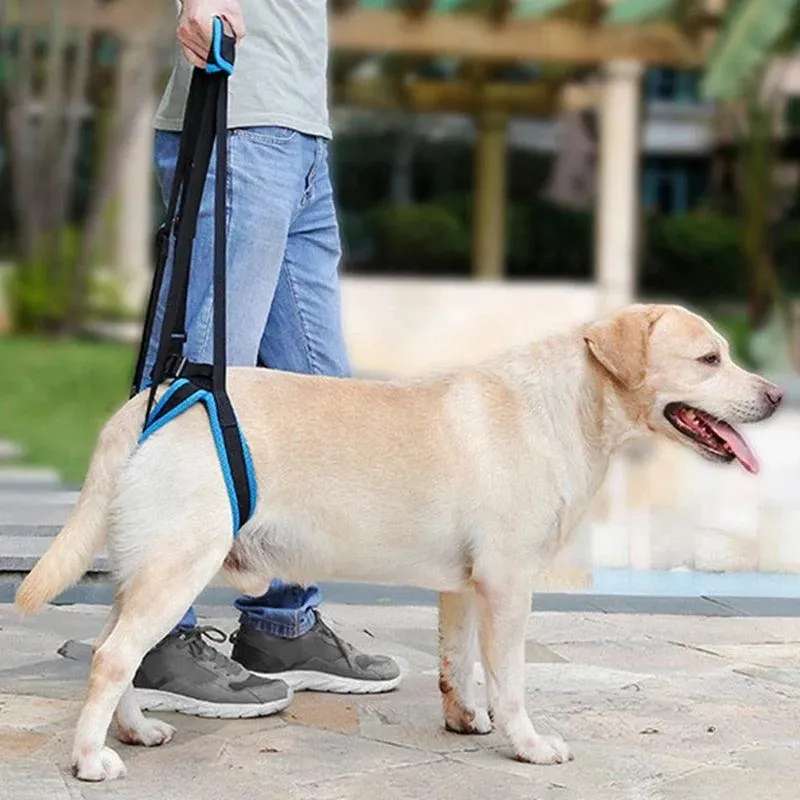 Adjustable Dog Lift Harness | Pet Support Sling