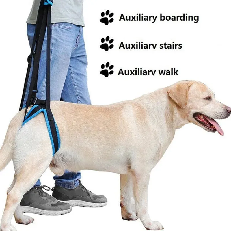 Adjustable Dog Lift Harness | Pet Support Sling