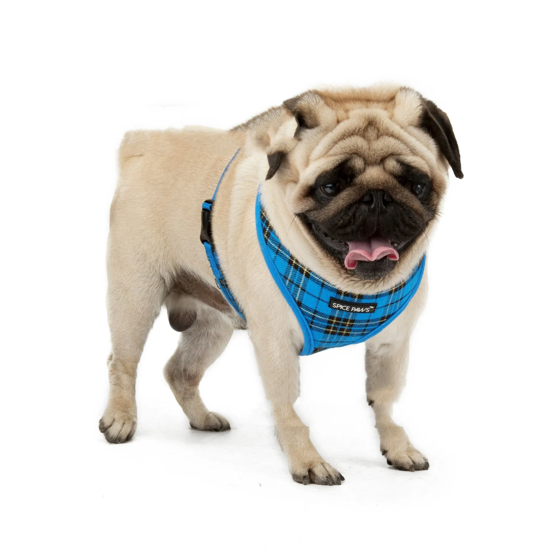 Adjustable harness vest-style dog outing chest back