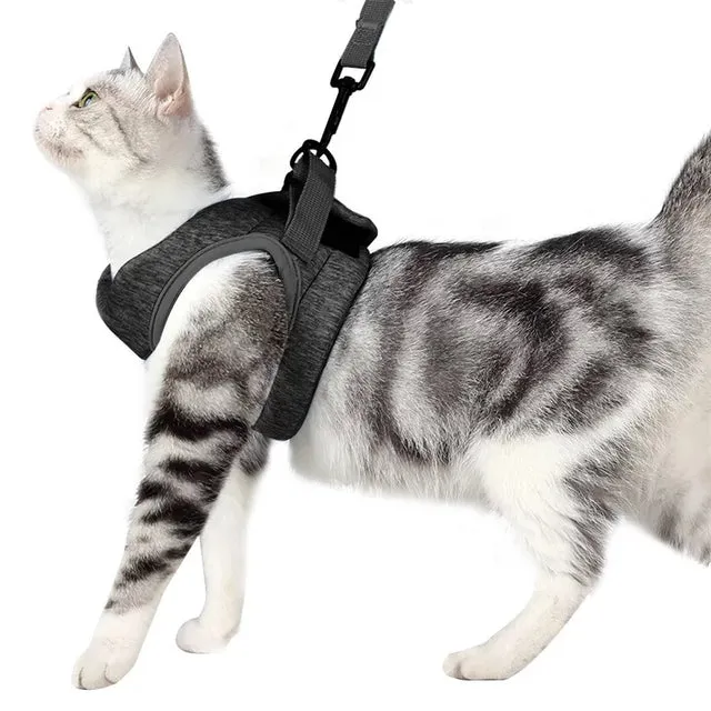 Adjustable Harness With Leash Belt Dog Vest