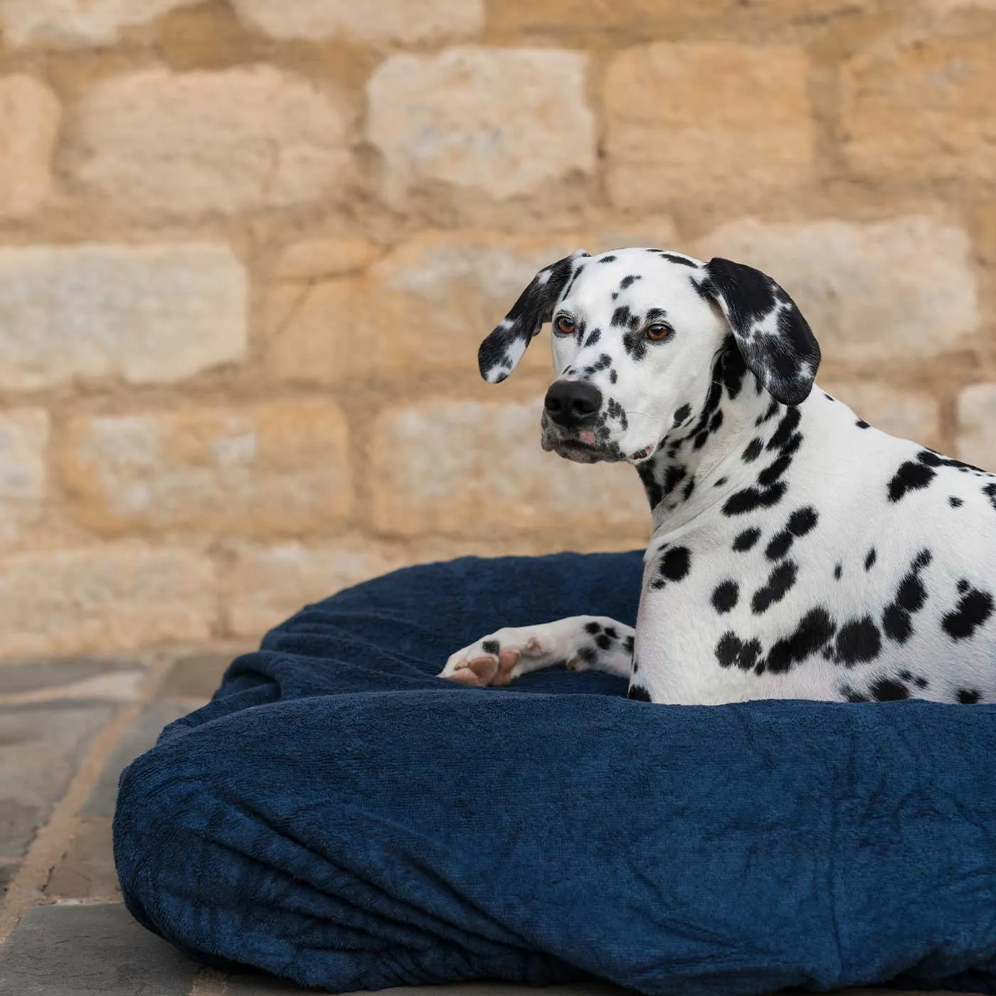 Bamboo Drying Cushion Cover in Navy by Lords & Labradors