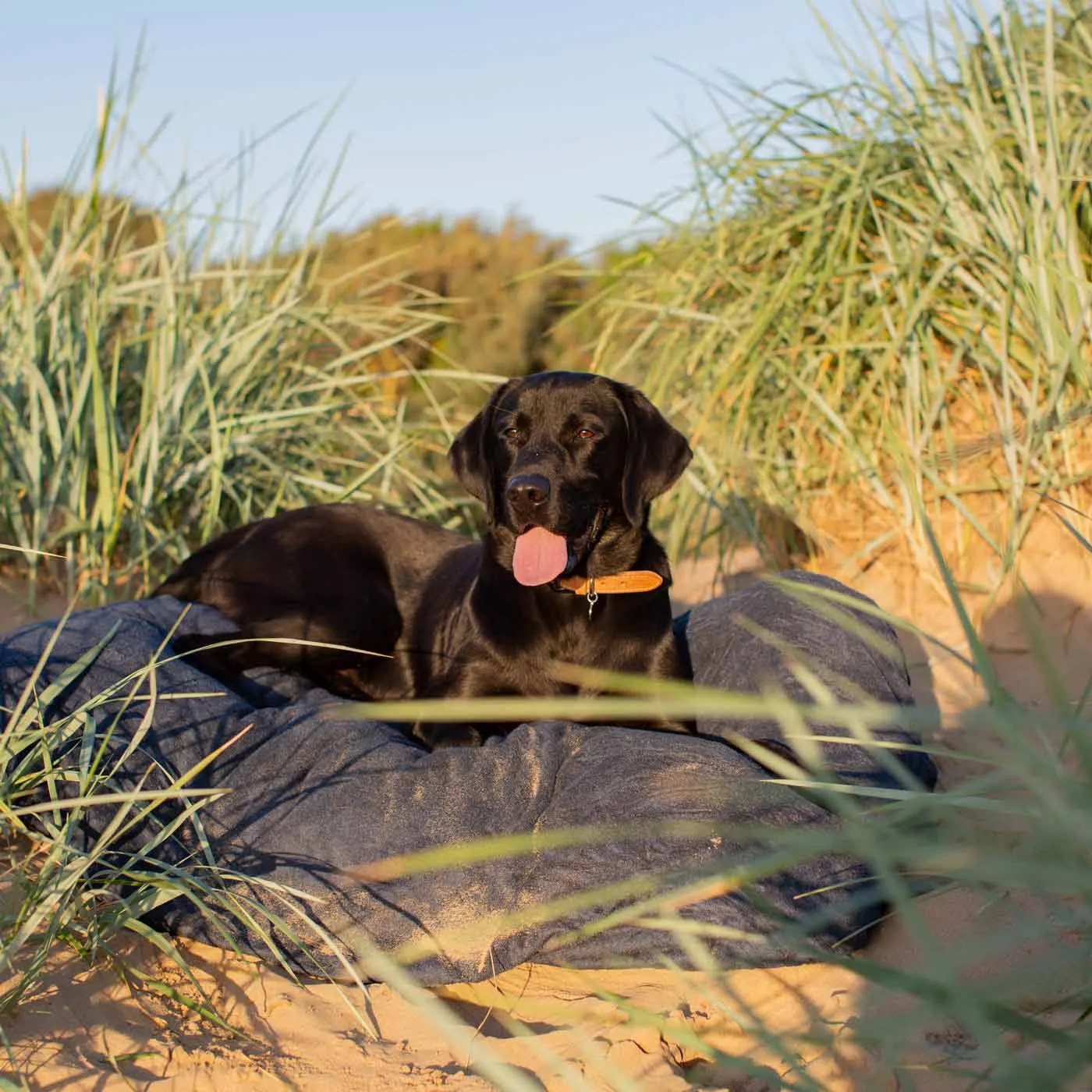 Bamboo Drying Cushion Cover in Navy by Lords & Labradors