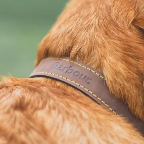 Barbour Leather Dog Collar