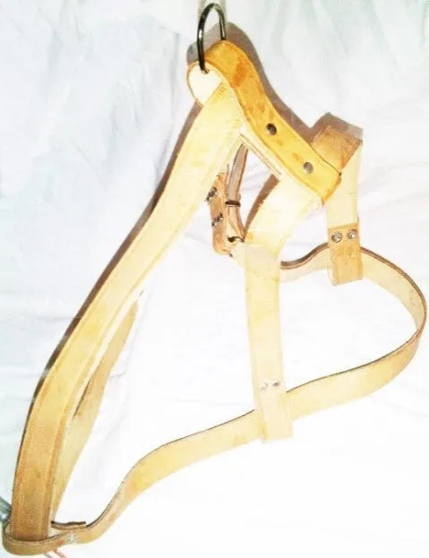 BROWN LEATHER HARNESS