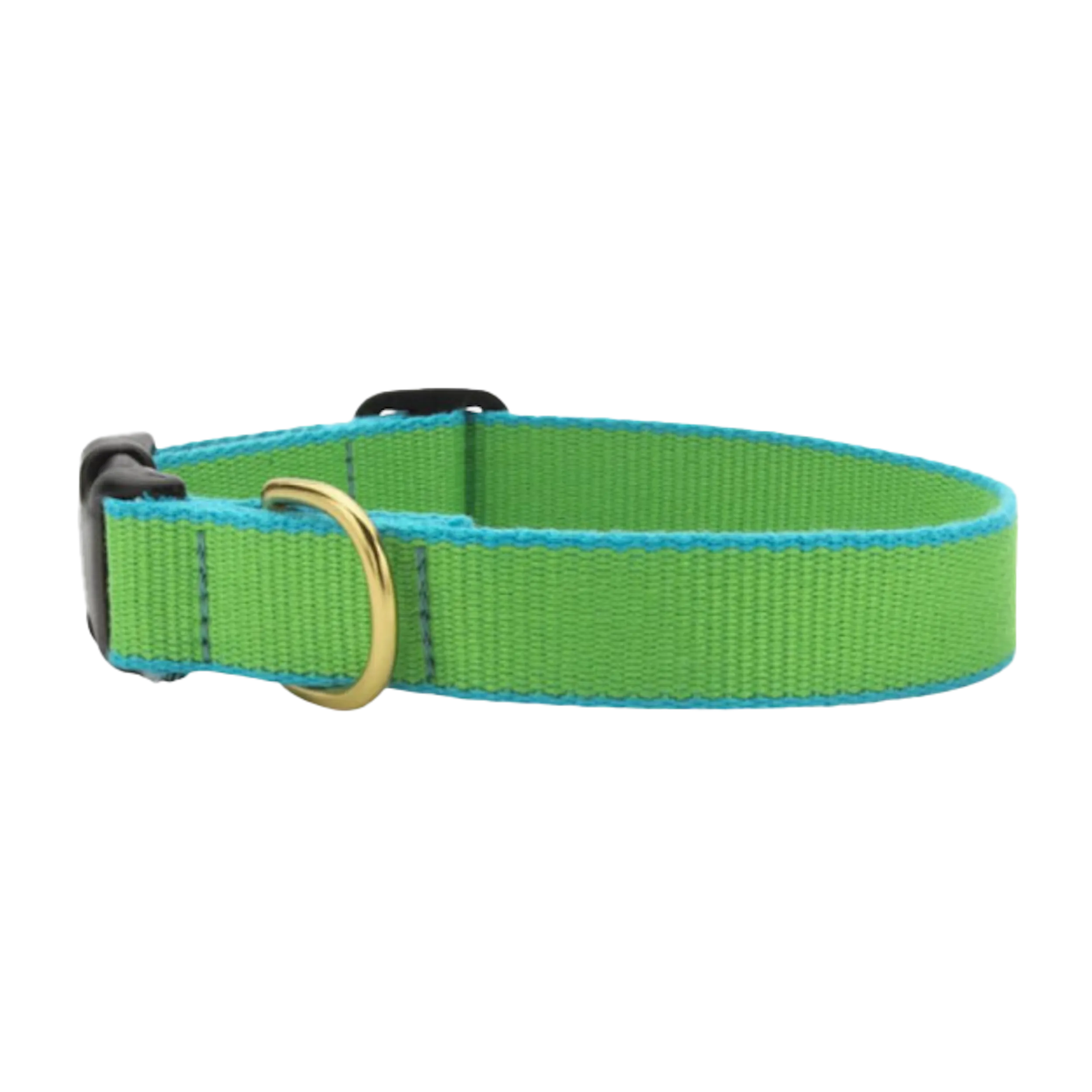 Collar | Lime & Aqua