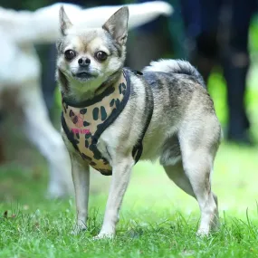 Digby & Fox Leopard Print Dog Harness