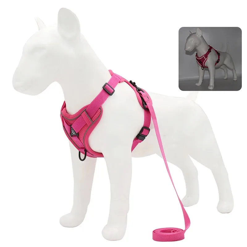 Dog Harness Leash Set - Adjustable Reflective Pet Chest Strap for Small & Medium Dogs, Cats, Puppies, French Bulldog, Yorkie