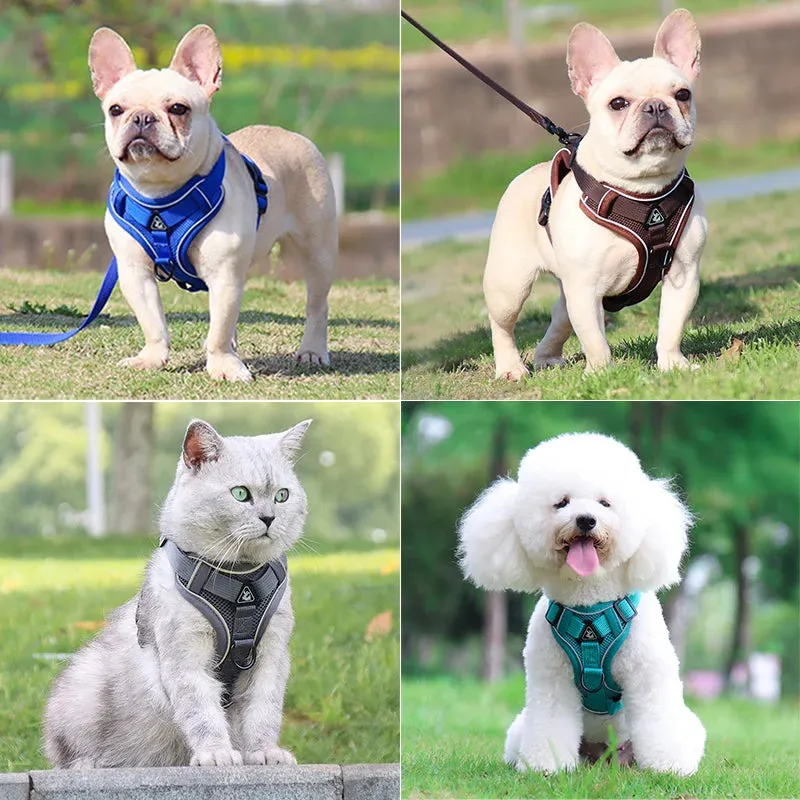 Dog Harness Leash Set - Adjustable Reflective Pet Chest Strap for Small & Medium Dogs, Cats, Puppies, French Bulldog, Yorkie