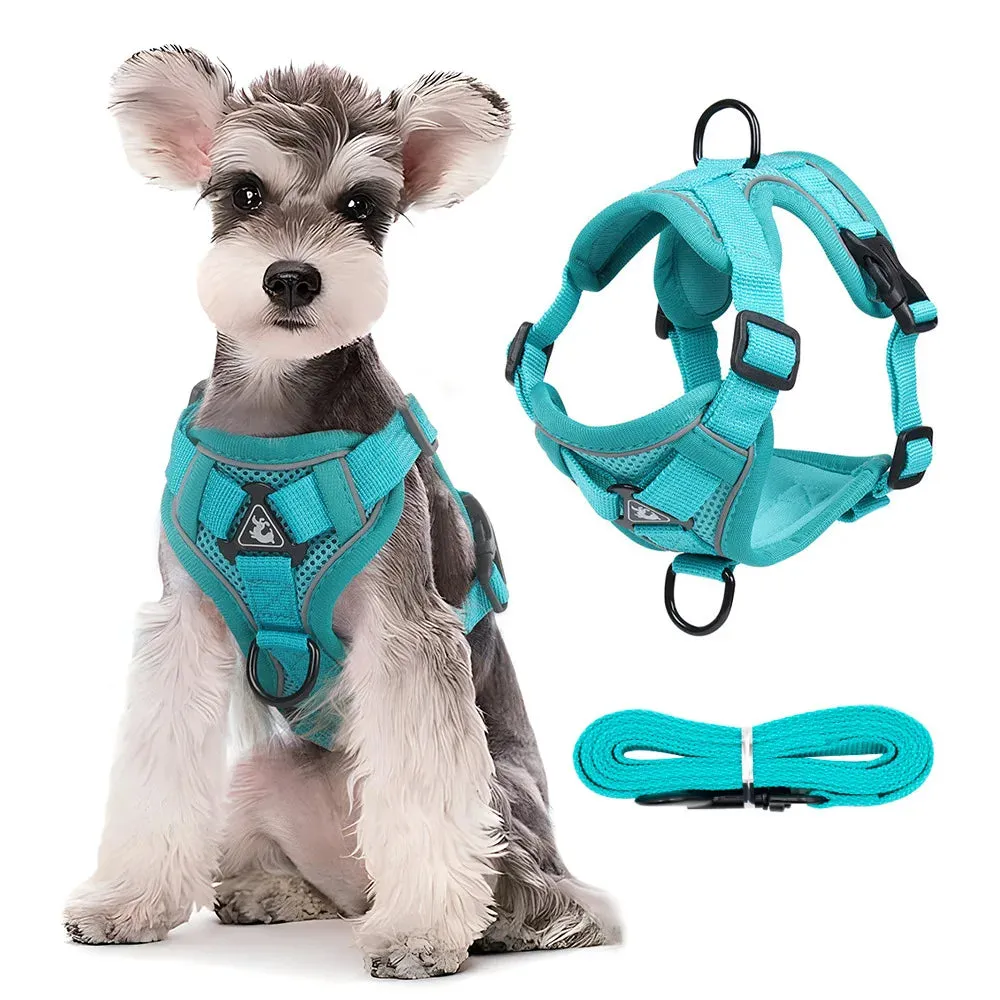 Dog Harness Leash Set - Adjustable Reflective Pet Chest Strap for Small & Medium Dogs, Cats, Puppies, French Bulldog, Yorkie