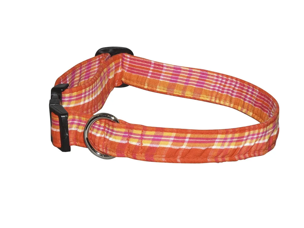 Elmo's Closet Citrus Dog Collar