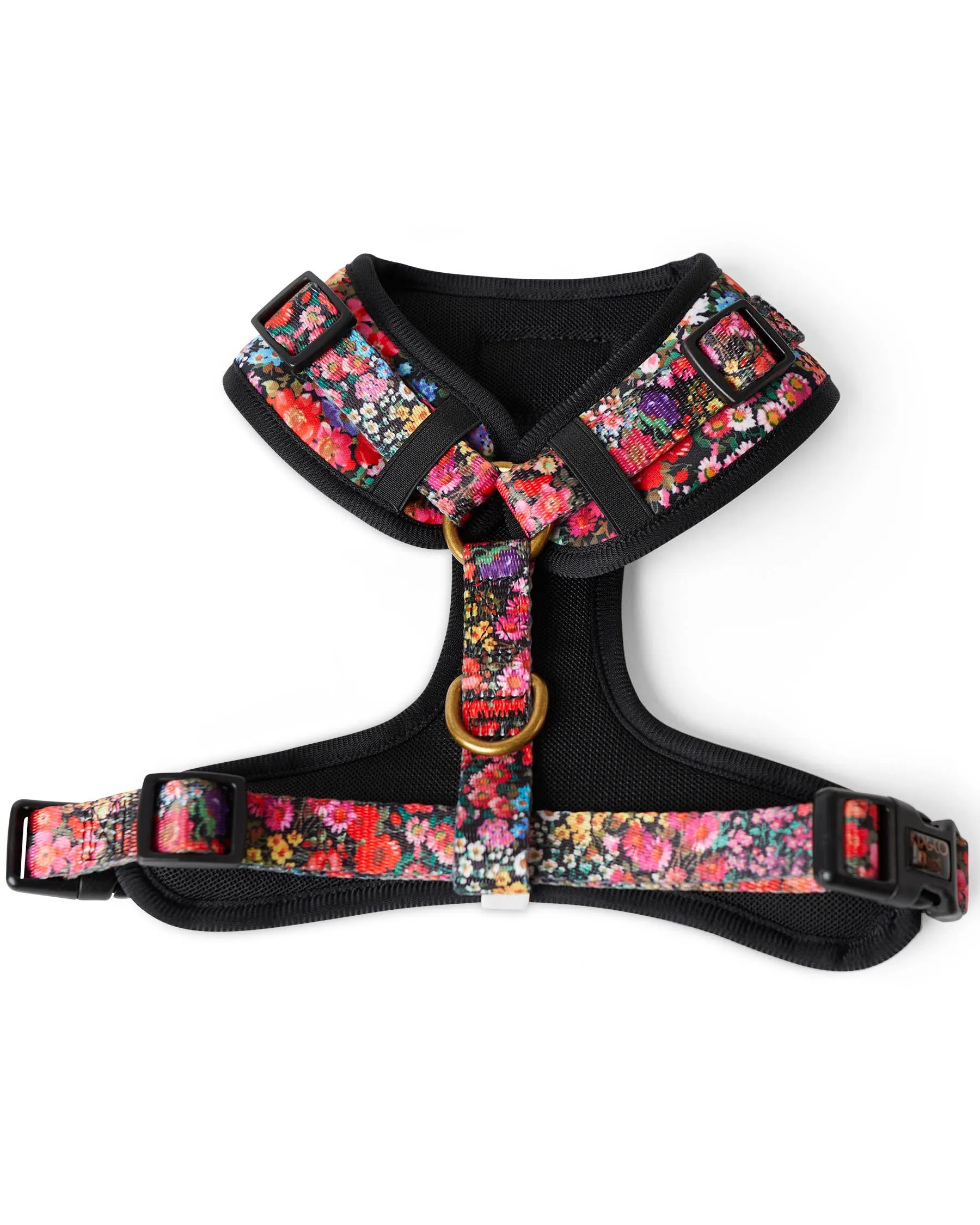 Forever Floral Black Dog Harness