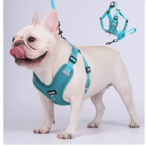 Glowva No Pull Explosion-Proof Frenchie Harness