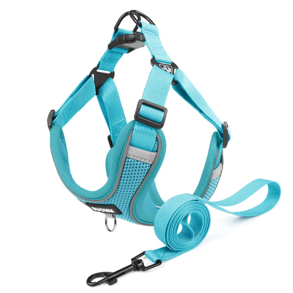 Glowva No Pull Explosion-Proof Frenchie Harness