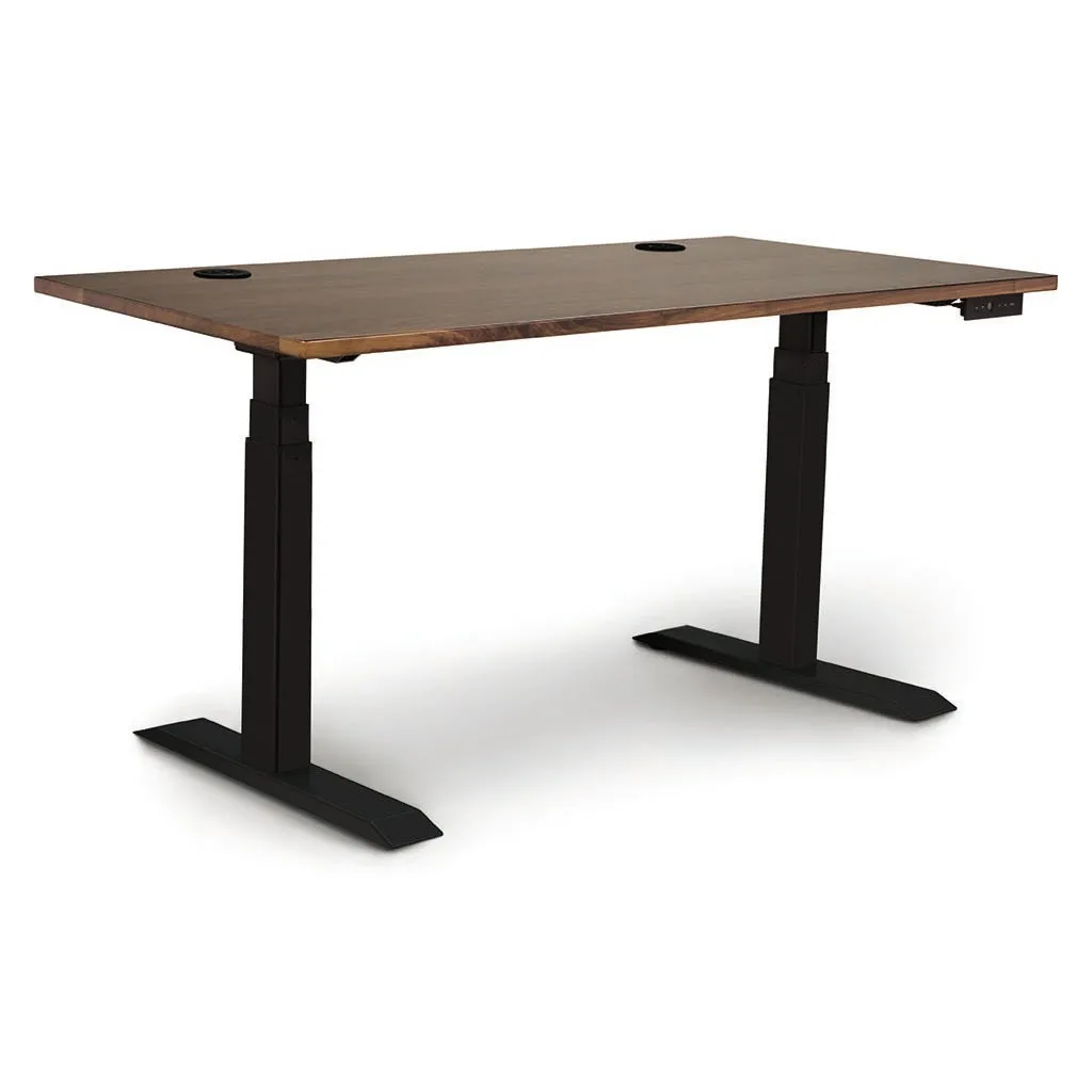 Invigo Customizable Sit Stand Desk