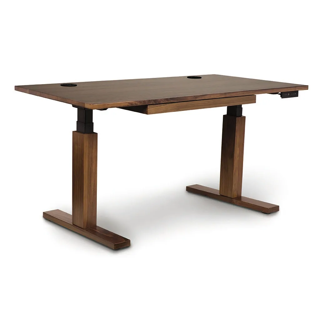 Invigo Customizable Sit Stand Desk