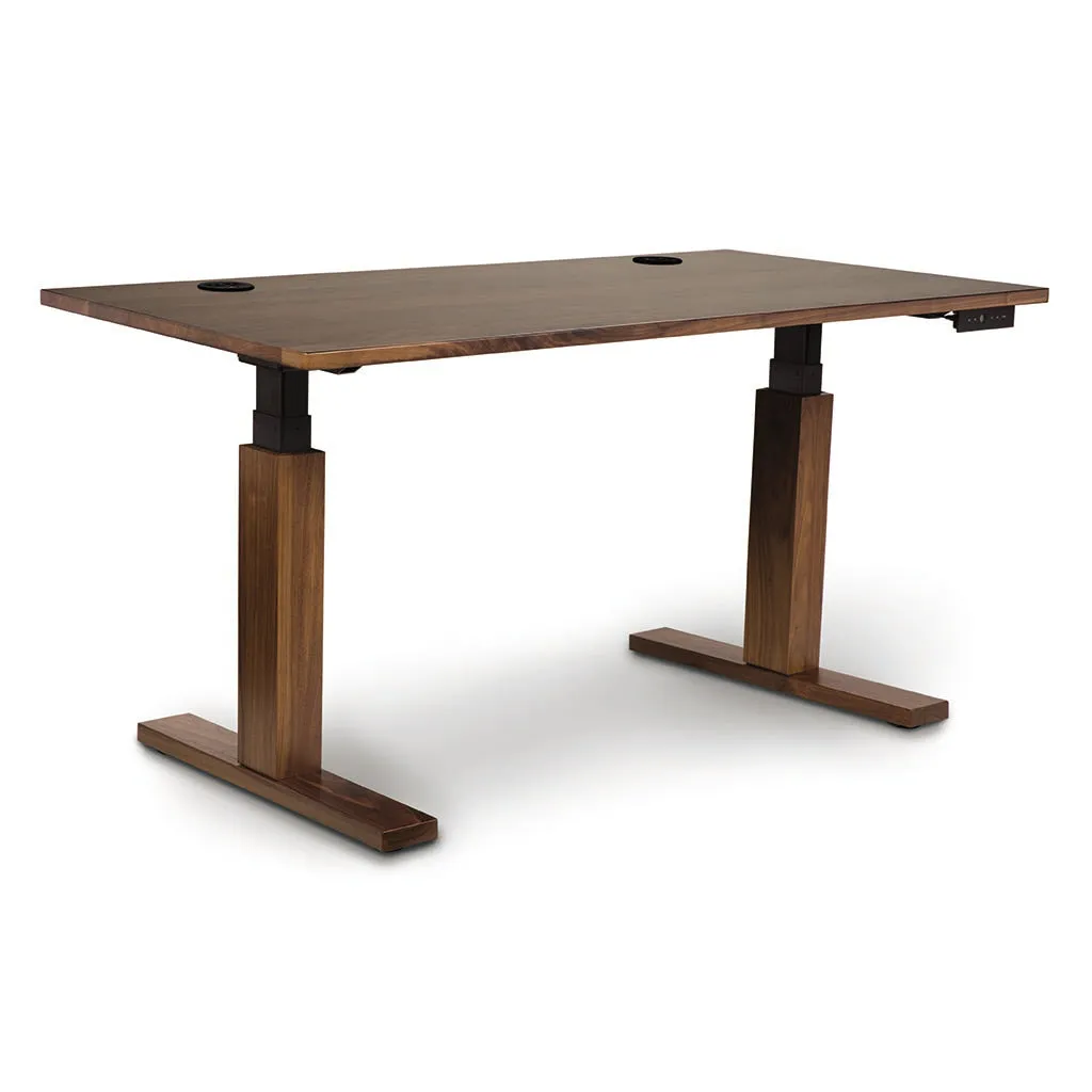 Invigo Customizable Sit Stand Desk