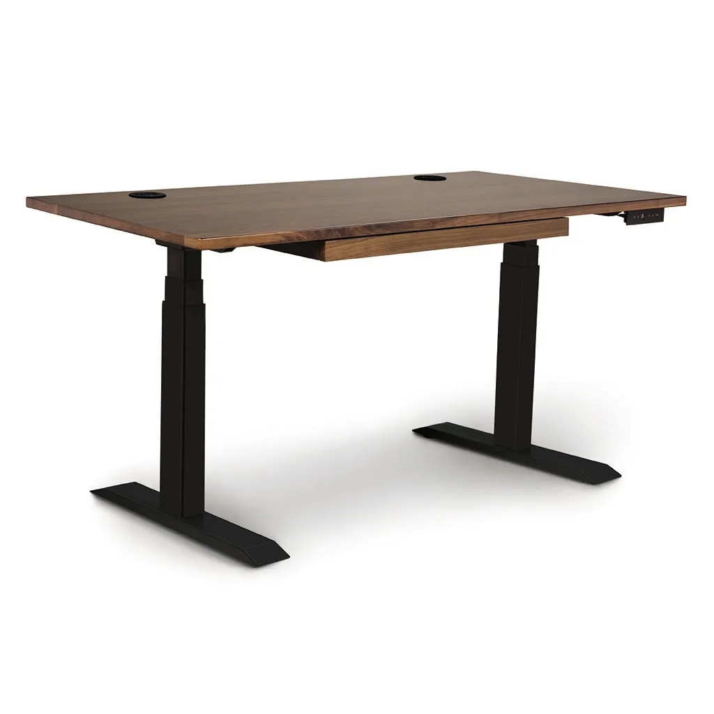 Invigo Customizable Sit Stand Desk