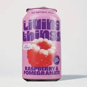 Living Things Raspberry & Pomegranate All Natural Soda