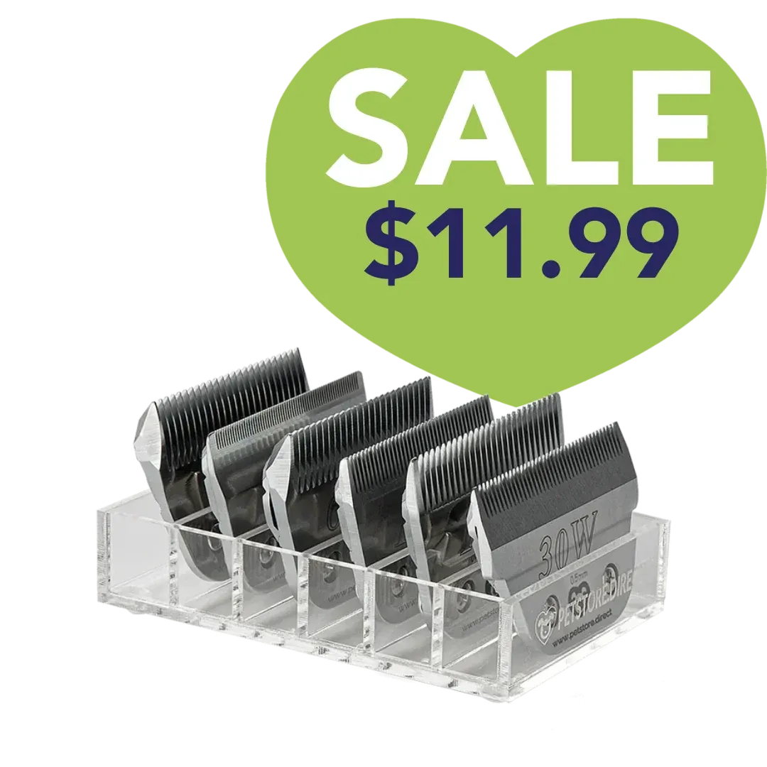 Mini Wide 6 Blade Holder Clear by PetStore.Direct