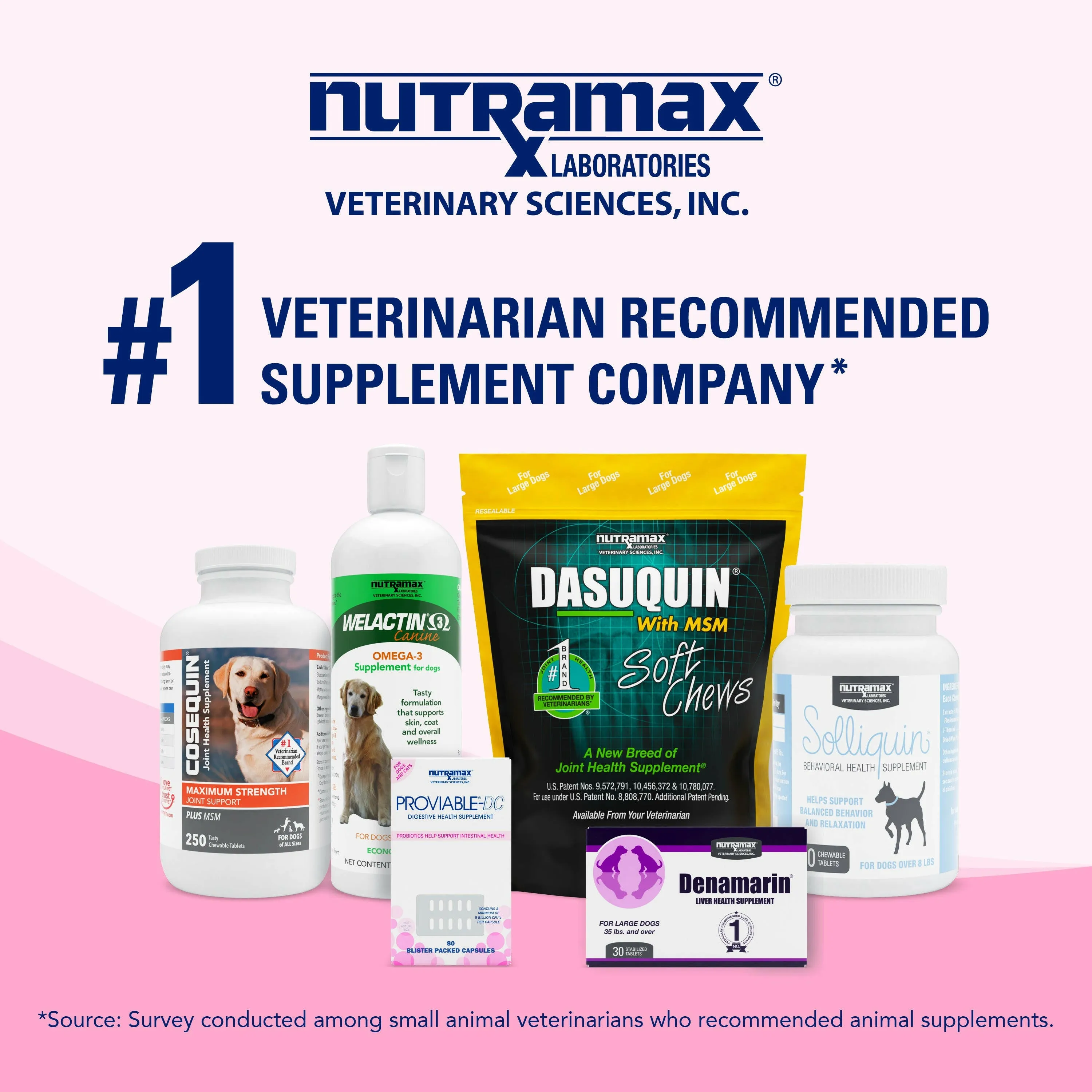 Nutramax Proviable Digestive Health Supplement Kit for Cats And Dogs