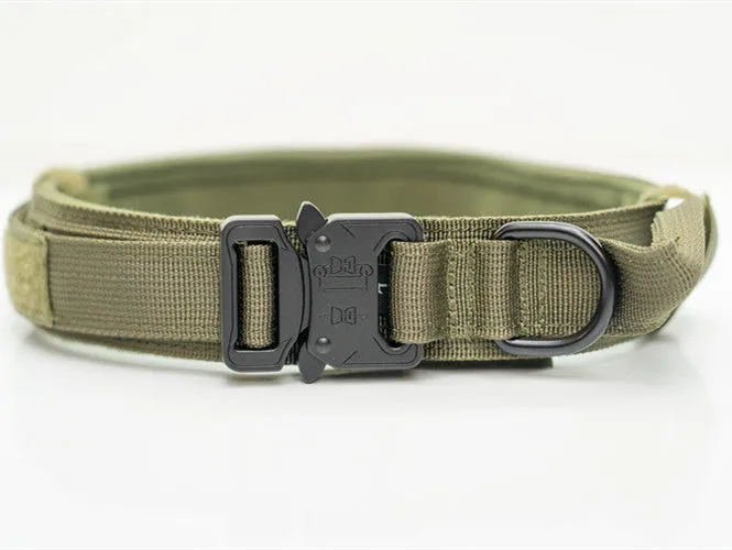 Nylon Pet Collars