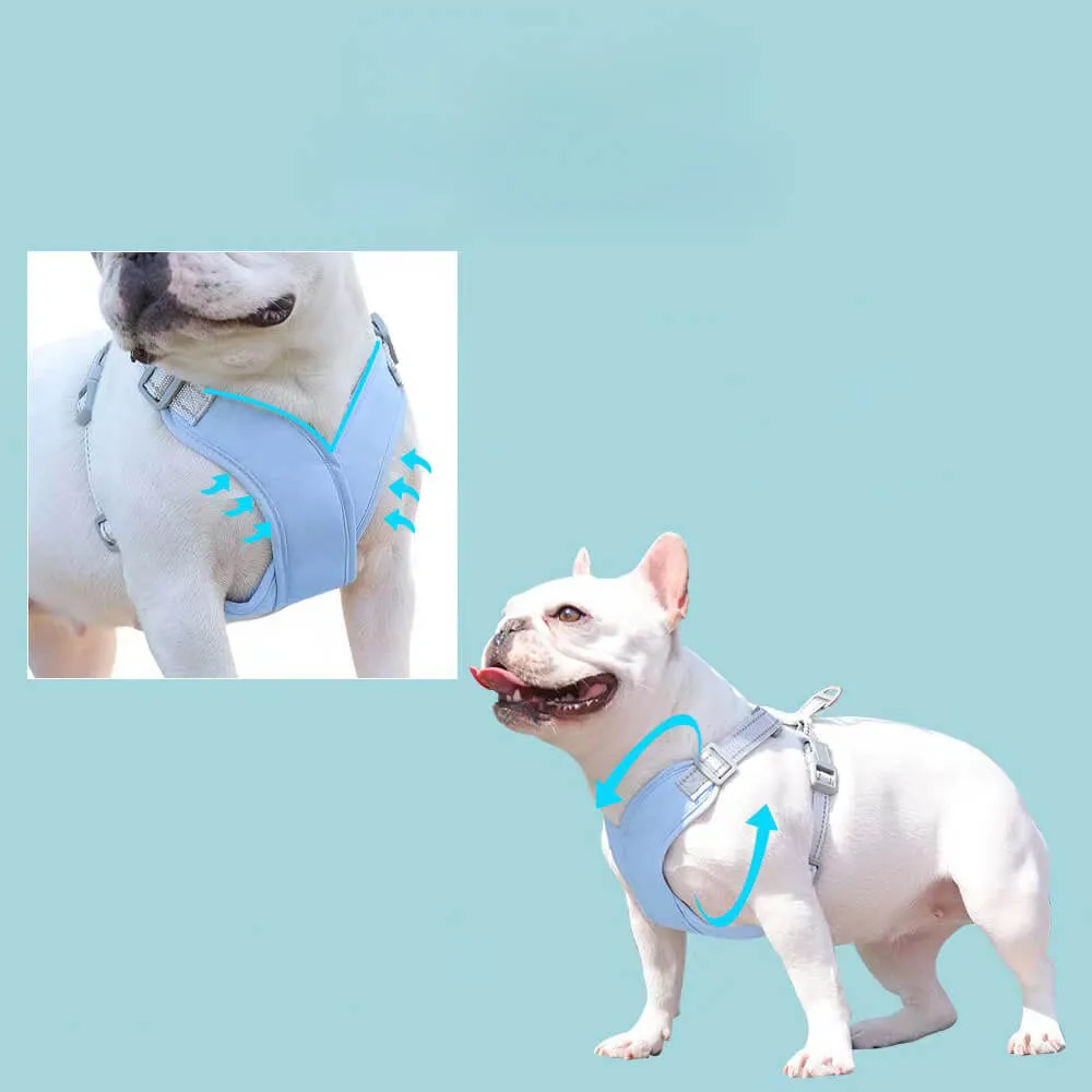 Pet Dog Traction Rope Harness - Breathable and Secure