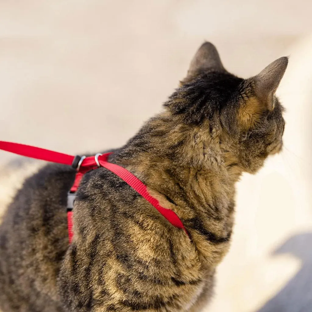 PetSafe Come with Me Kitty Nylon Harness & Bungee Leash for Cats, Dusty Rose/Burgundy