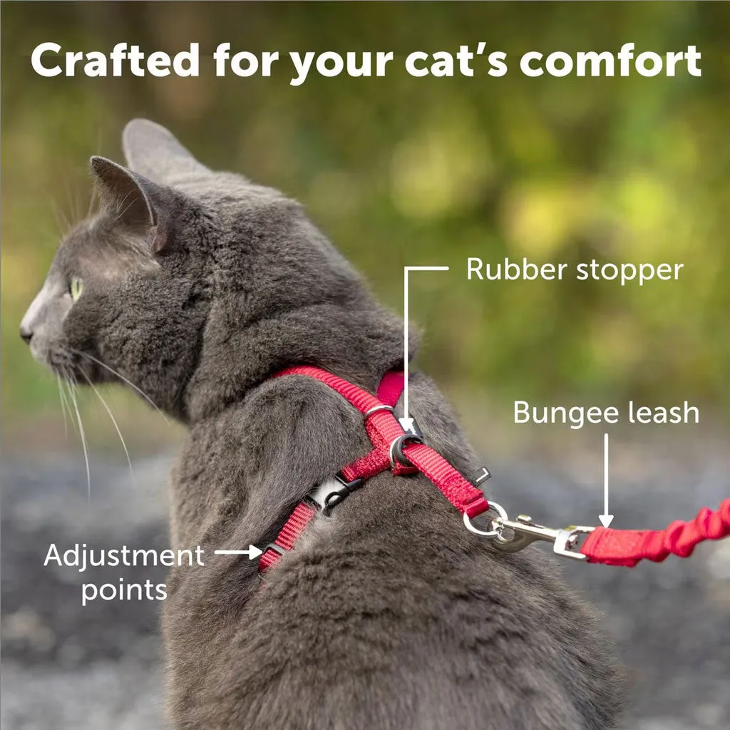 PetSafe Come with Me Kitty Nylon Harness & Bungee Leash for Cats, Dusty Rose/Burgundy