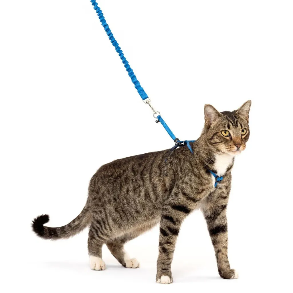 PetSafe Come with Me Kitty Nylon Harness & Bungee Leash for Cats, Royal Blue/Navy