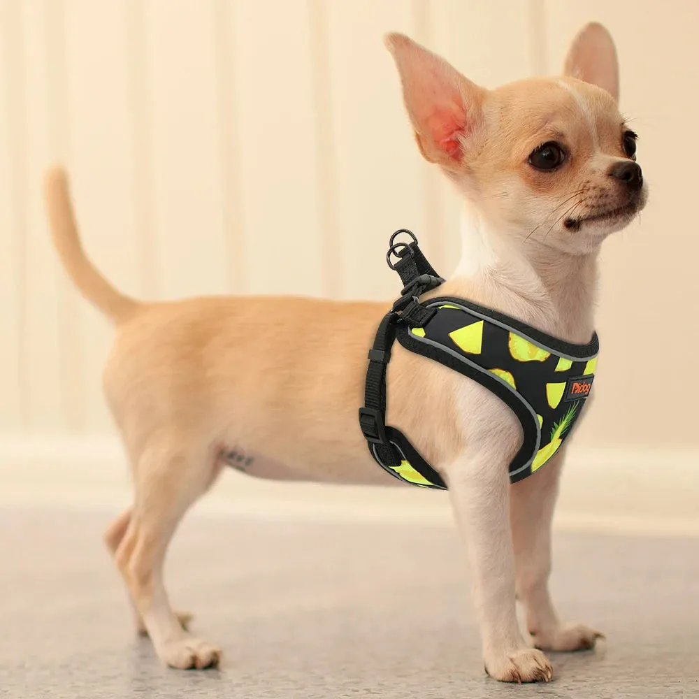 Reflective Nylon Harness Vest for Small to Medium Dogs and Cats