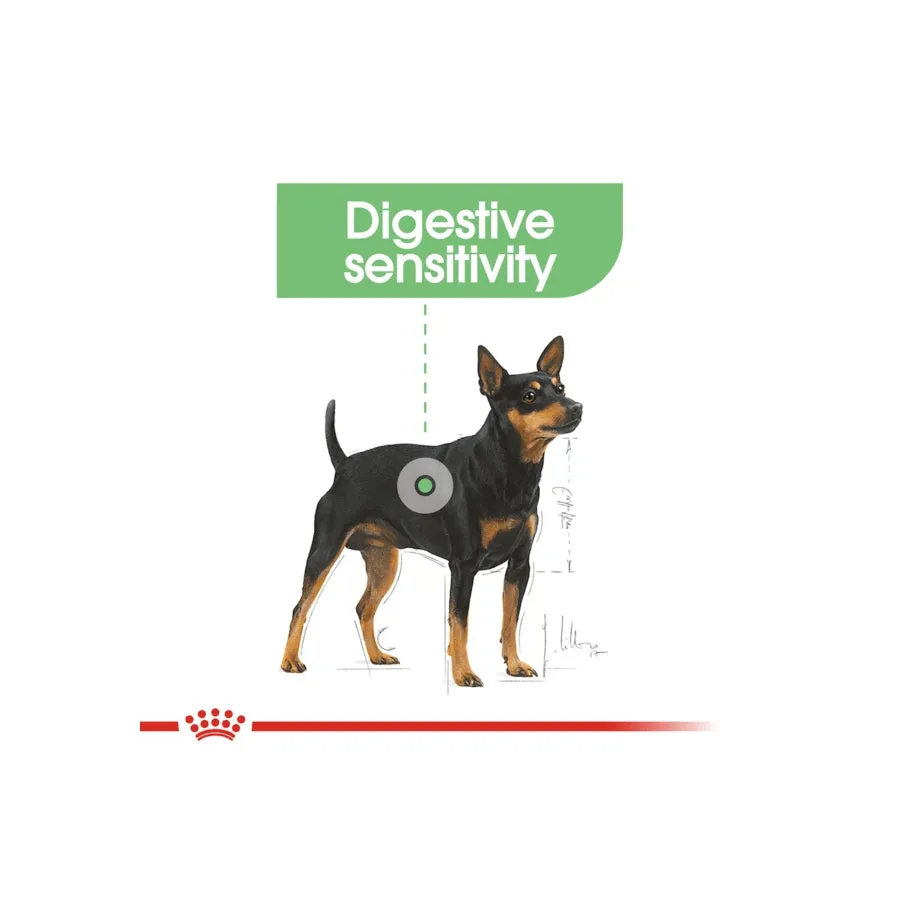 Royal Canin Mini Digestive Care Adult Dry Dog Food