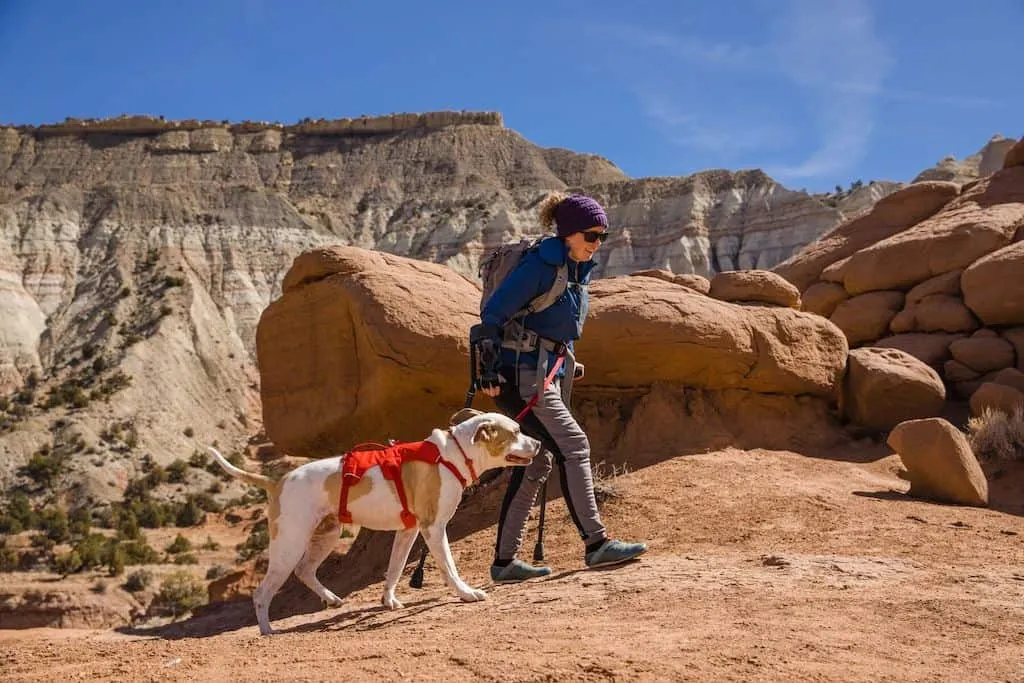 SALE! Ruffwear Web Master Dog Harness - Secure with Back Handle