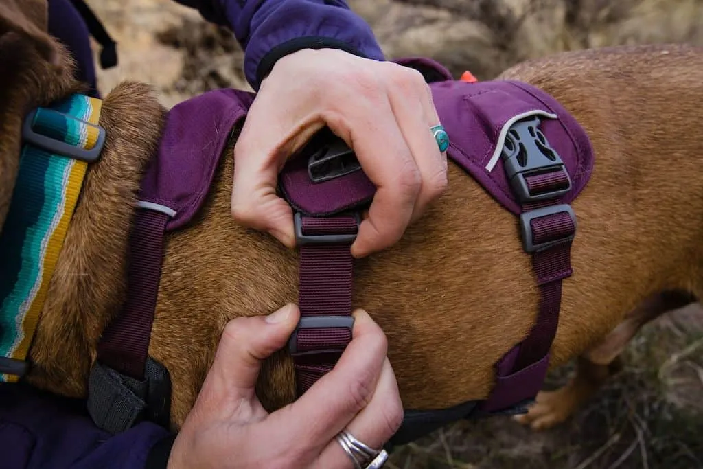 SALE! Ruffwear Web Master Dog Harness - Secure with Back Handle