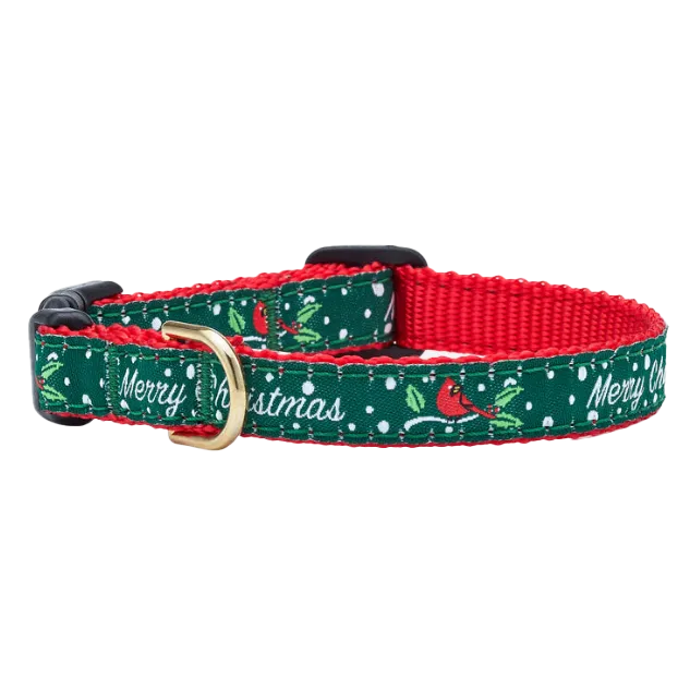 Teacup Collar | Merry Christmas