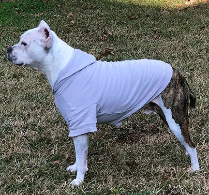 Your Dog's Favorite Hoodie