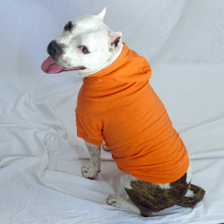 Your Dog's Favorite Hoodie